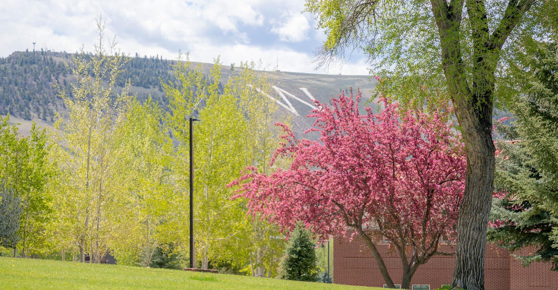 WCU Teaching and Learning Center